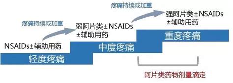 天花板效應 藥物|癌症疼痛控制的原則與新進展